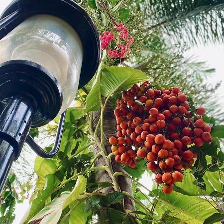 Senthil Complex Otel Jaffna Dış mekan fotoğraf