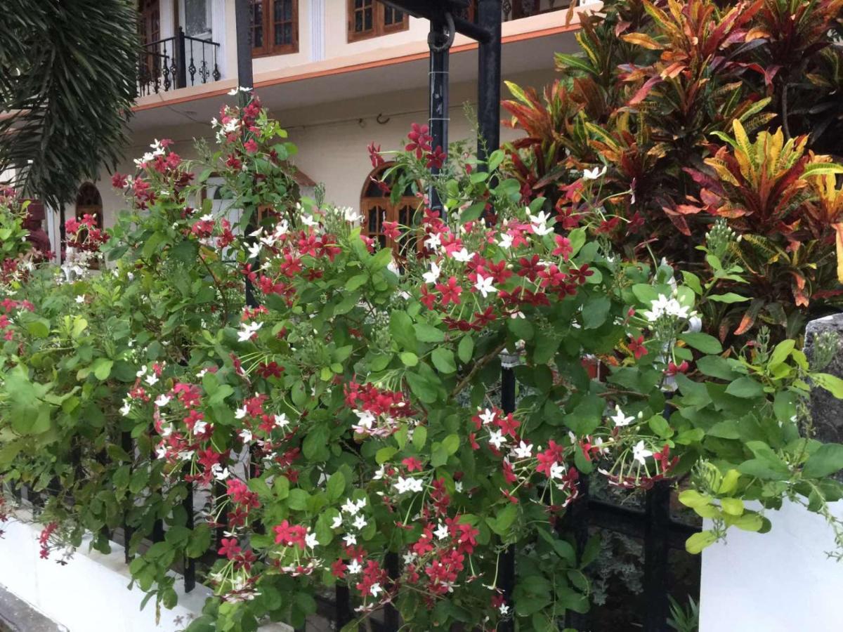 Senthil Complex Otel Jaffna Dış mekan fotoğraf