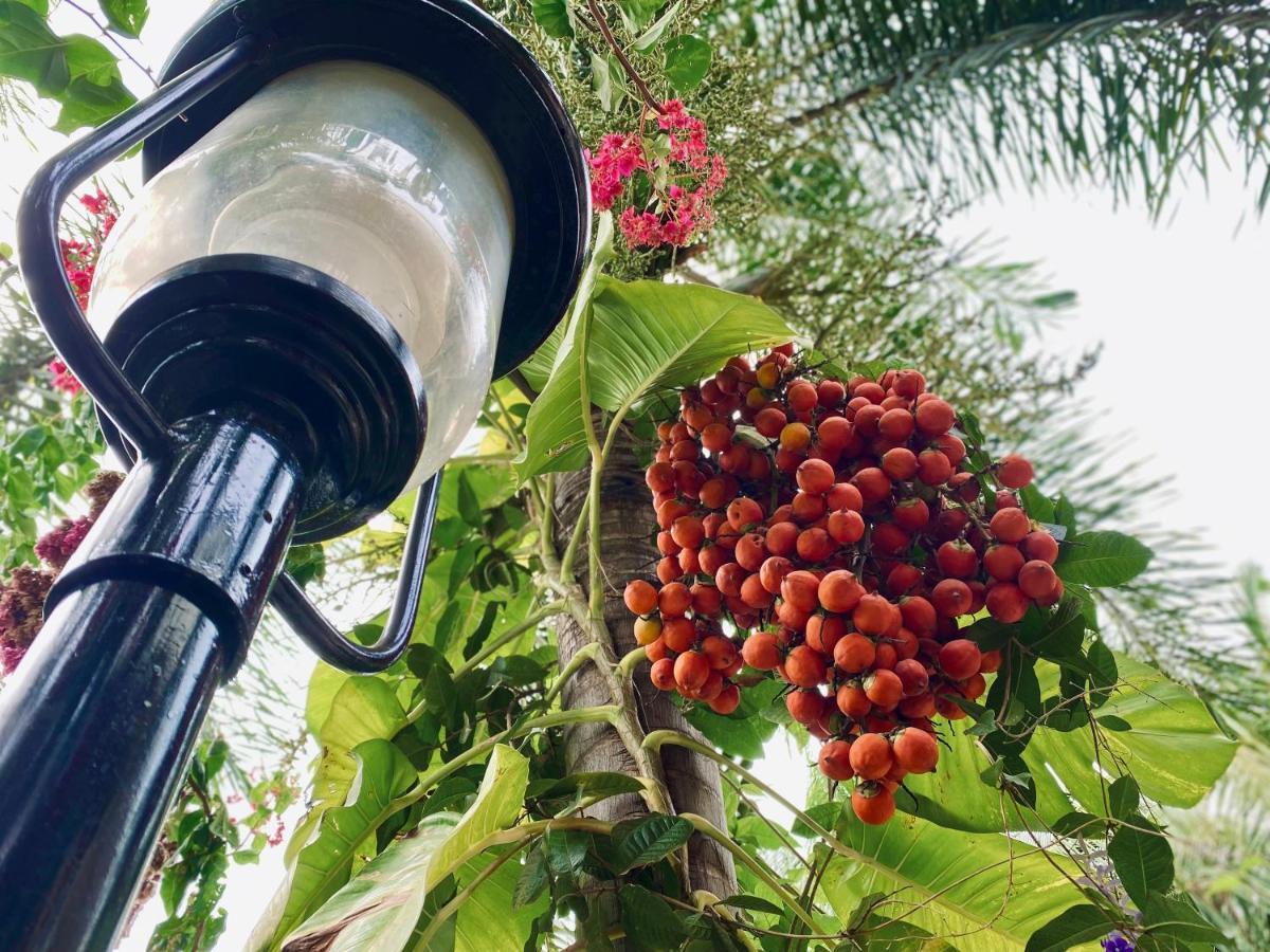 Senthil Complex Otel Jaffna Dış mekan fotoğraf